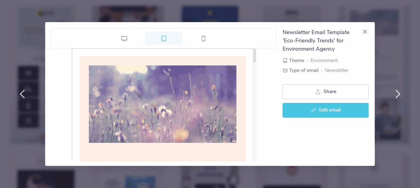 email-preview-tablet-1.gif